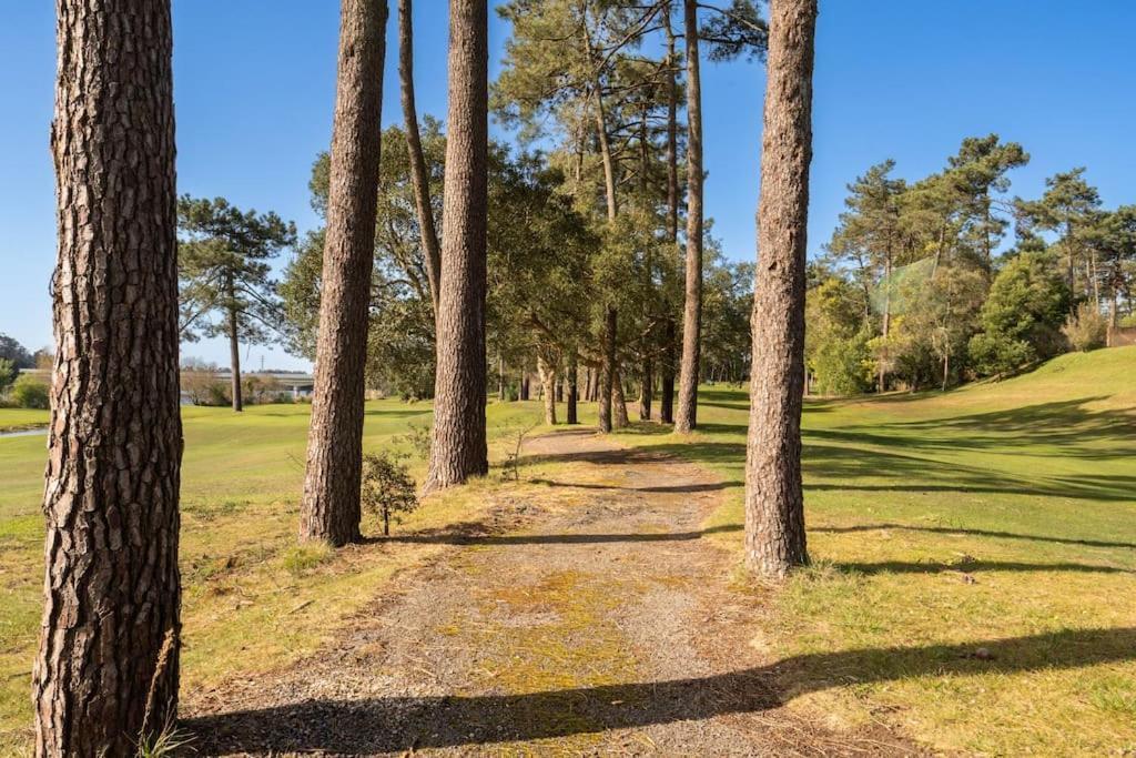 Quinta Da Barca Guest House Esposende Zewnętrze zdjęcie