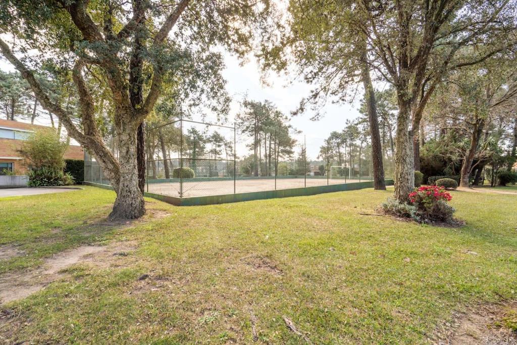 Quinta Da Barca Guest House Esposende Zewnętrze zdjęcie